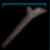 Branch