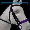 Witch bridle