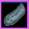 Kalltic Archaelogical find
