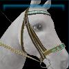 Kalltic bridle