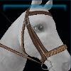 Kalltic expedition bridle