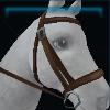 Kalltic sporty bridle