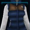 Winter master vest
