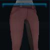 Top-class riding pants