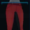 Christmas riding pants