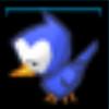 A bird