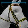 Christmas bridle