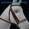 Brown windbreaker bridle