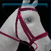 Valentine's Day bridle