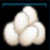 Wild hen eggs