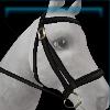 Purple twilight bridle