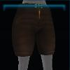 Brown school pants