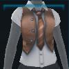 Orange school vest
