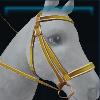 Yellow designer bridle