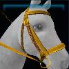 Yellow Jarla bridle