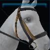 Yellow wasp bridle