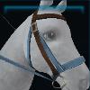 Blue athletic bridle