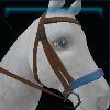 Brown western bridle