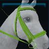 Valedale bridle