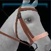 Pink beach bridle