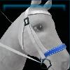 White beach bridle