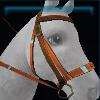 Brown Summer bridle