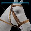 Brown competition bridle