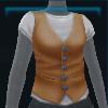 Orange paddock vest