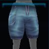 Blue beach shorts