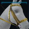 Yellow riding instructor bridle