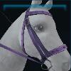 Purple riding instructor bridle