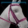 Pink riding instructor bridle
