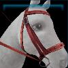 Red riding instructor bridle