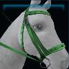 Green riding instructor bridle
