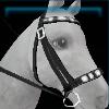 Winter halter
