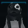 Seal pup