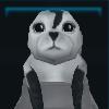 Seal pup
