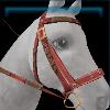 Red harvest bridle