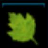 Green leaf
