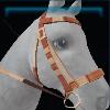Brown harvest bridle