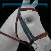 Brown storm bridle