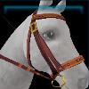 Violet harvest bridle
