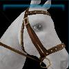 Brown hurricane bridle