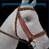 Brown leopard bridle