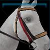 Brown classic bridle