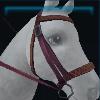 Cerise equestrian bridle