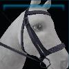 Black leopard print bridle