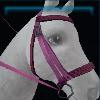 Cerise leopard print bridle