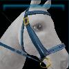 Bright blue competition bridle