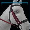 Purple adventure bridle